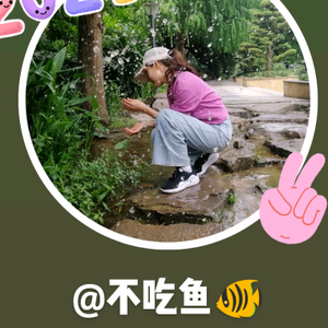 不吃鱼🐠头像