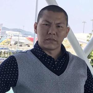 铲屎官老谭头像