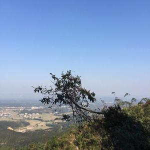beray160782089头像