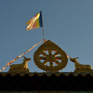 阿卜通华纳阿约大法王头像