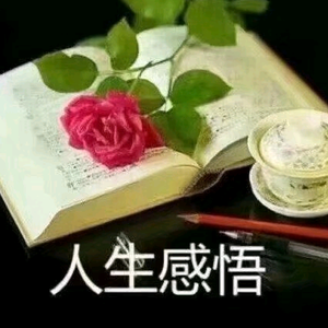 感悟人生图片带字头像图片