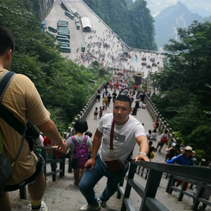 顽强叶子D头像