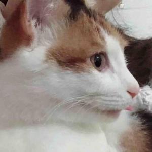 野钓小毛头像