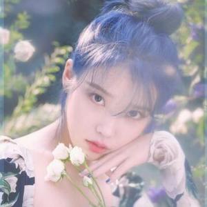 紫U宝头像