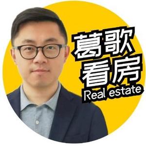 葛歌看房头像