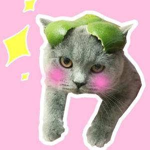 烟嗓萝莉全富贵头像