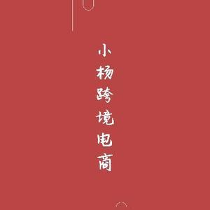 小杨跨境电商头像