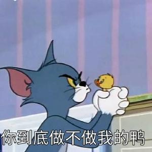 是帅小鱼啊头像