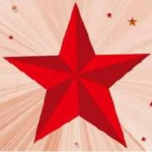 红星照我去创业头像