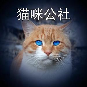 猫咪公社头像