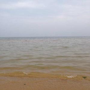 芭宝莉2头像