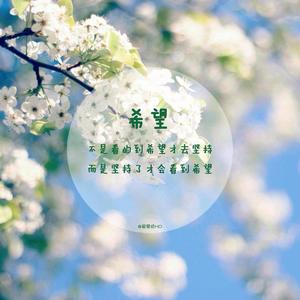 宁静致远56宁静致远头像