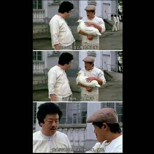 大佳影视头像