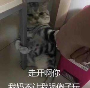 番茄4381572865头像