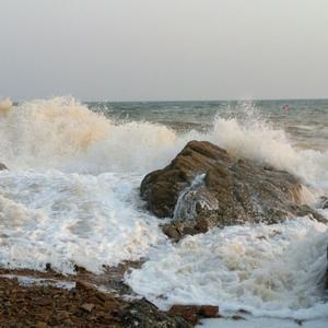 杨董头像