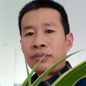 机智的麻酱GnVynj头像