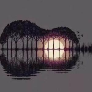 古典吉他音视谱头像