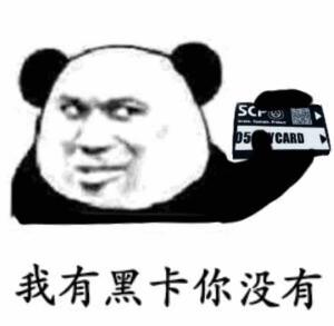 某o5议会成员头像