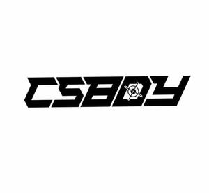 CSBOY头像