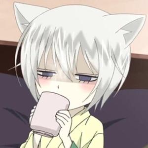 猫丶563头像