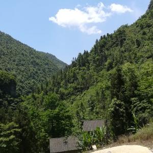 持之以恒端庄优雅农村人头像