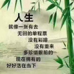 赵泊丞86头像