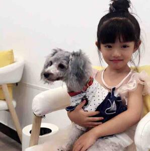 杨洋洋VLOG头像