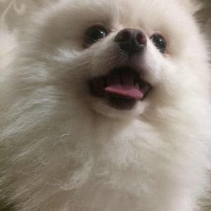 红旗在我心向阳而生头像