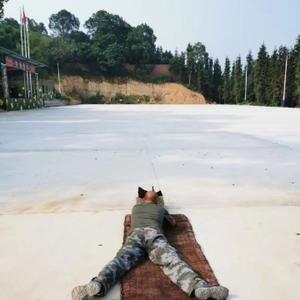 文星村杨顺超头像