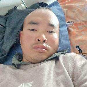 爱学习法律的吕奉先头像