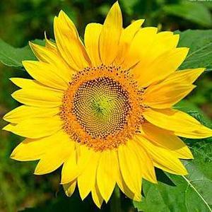 美好生活记忆头像