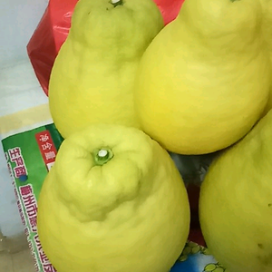 姚进添头像