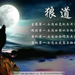 雁秋001头像