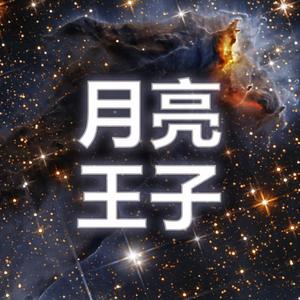 WHY月亮王子头像