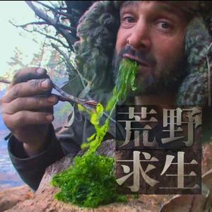 活泼奶酪7F头像