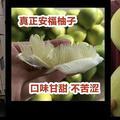 安福柚子哥头像