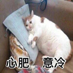 大颓颓颓橘橘头像