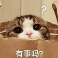 你若琴天头像
