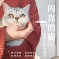 孤岛最爱江山头像