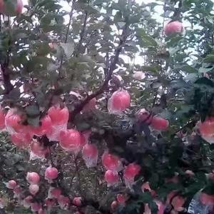 隔空出世头像