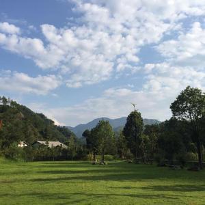 扎朵的花园头像