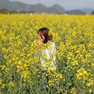 朵朵花海阿莎头像
