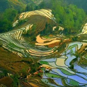 阡陌赋能头像