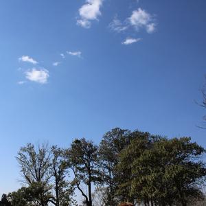 投石问路Z