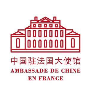 中国大使馆头像图片