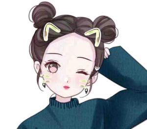 请叫刘小姐头像