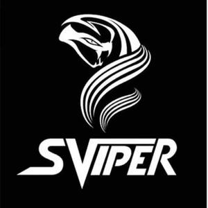 sviper战队头像