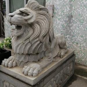 云H头像