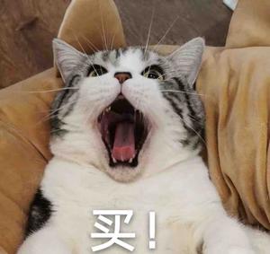好运胖墩墩头像