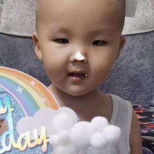 森林系的奥利奥头像